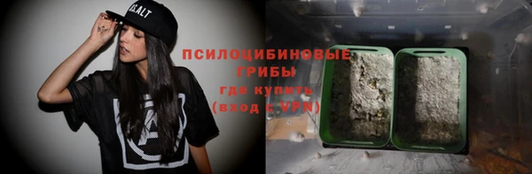 дмт Тында
